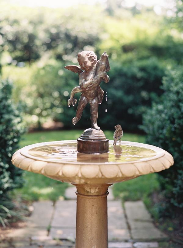Georgetown-film-wedding-photography