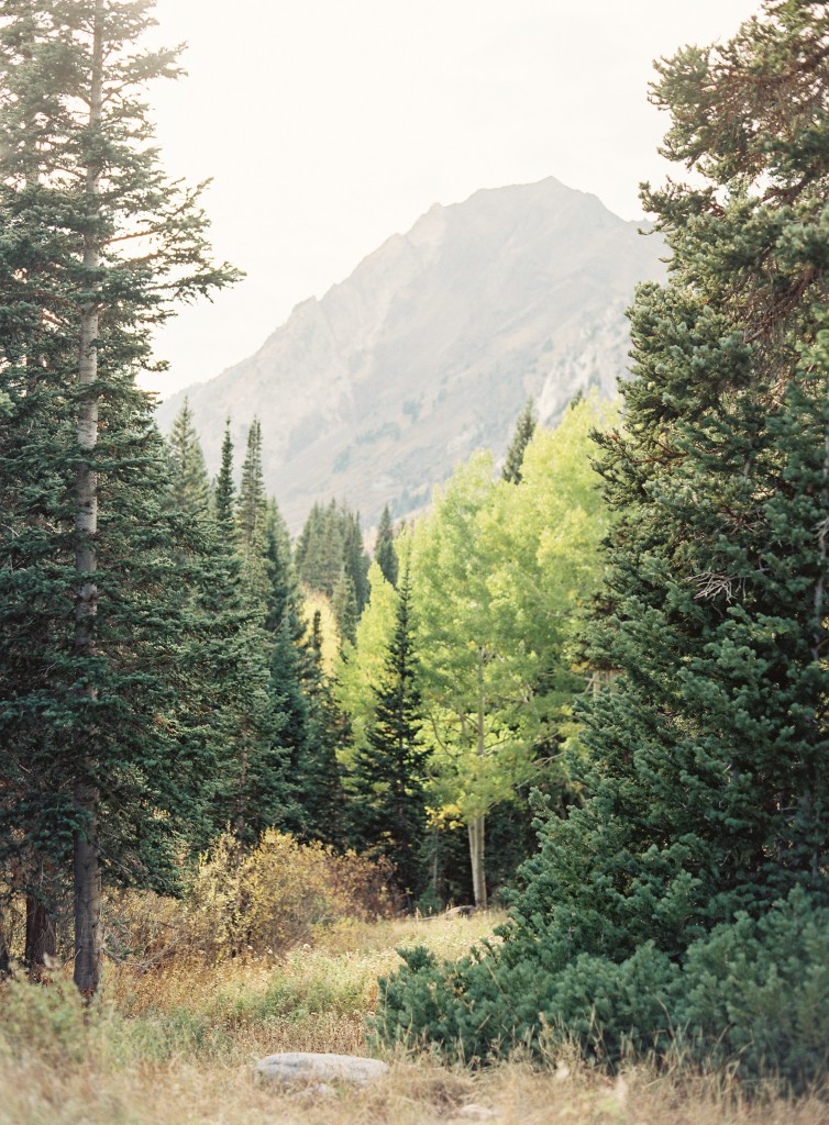 Joey-Kennedy-Utah-Wedding