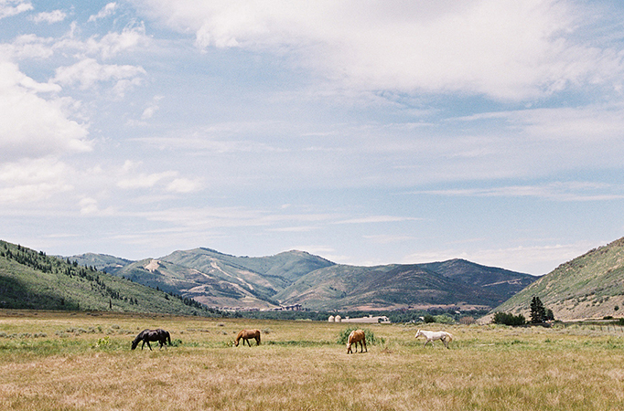 Joey-Kennedy-Pittsburgh-Los-Angeles-Utah-Mexico-Virginia-Wedding-Photographer 0001