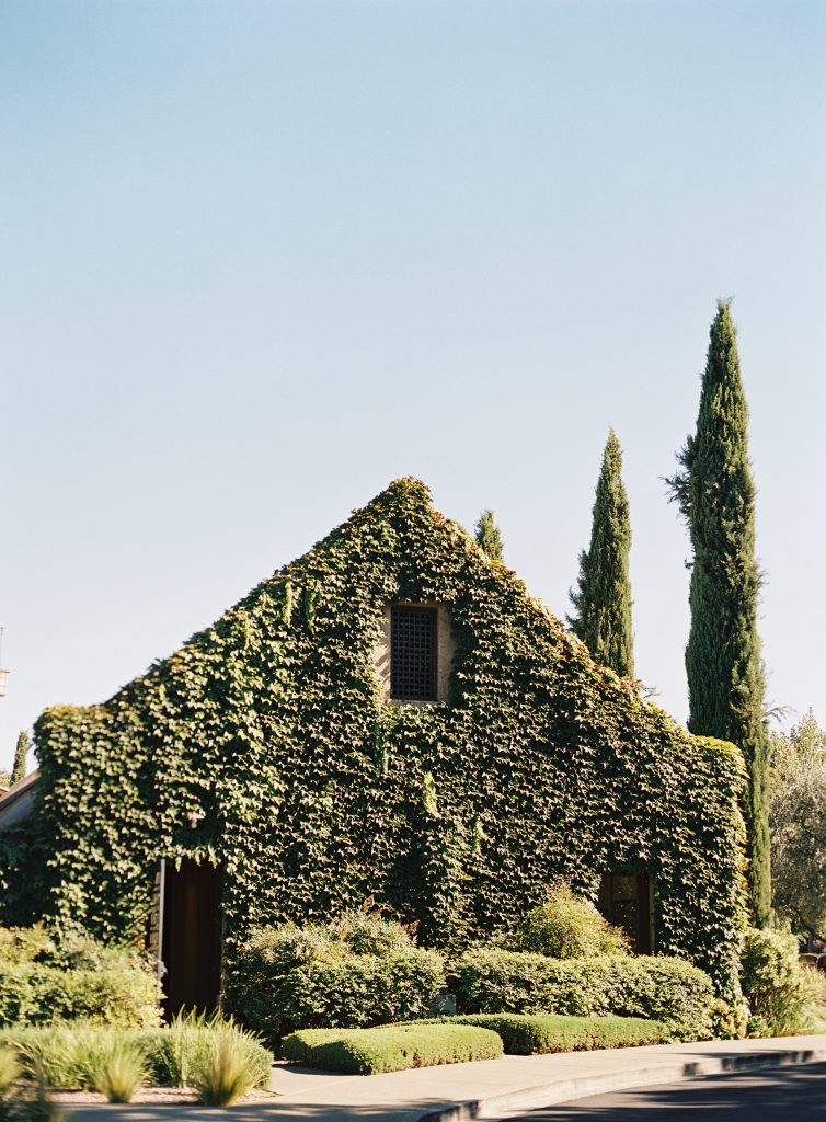 Napa-wedding-photographer
